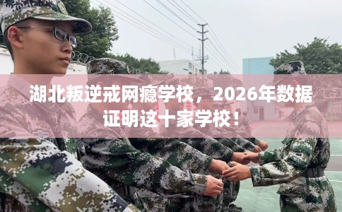 湖北叛逆戒网瘾学校，2026年数据证明这十家学校！