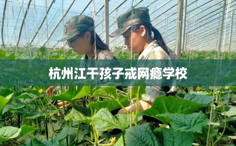 杭州江干孩子戒网瘾学校