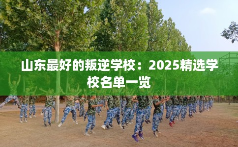 山东最好的叛逆学校：2025精选学校名单一览