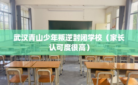 武汉青山少年叛逆封闭学校（家长认可度很高）