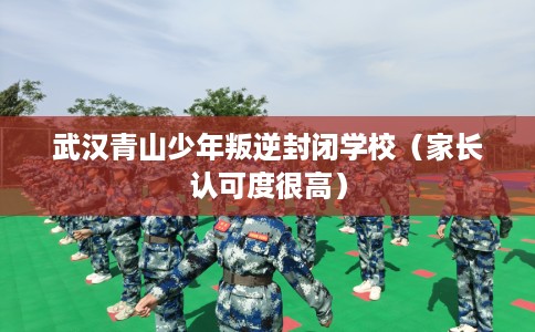 武汉青山少年叛逆封闭学校（家长认可度很高）