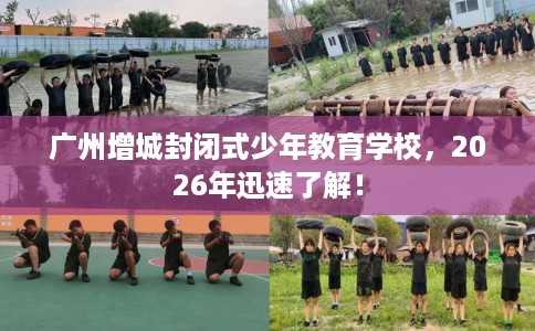 广州增城封闭式少年教育学校，2026年迅速了解！