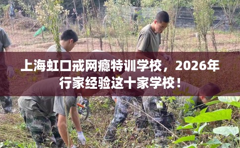 上海虹口戒网瘾特训学校，2026年行家经验这十家学校！