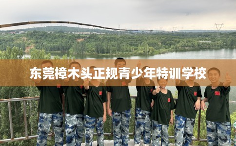东莞樟木头正规青少年特训学校