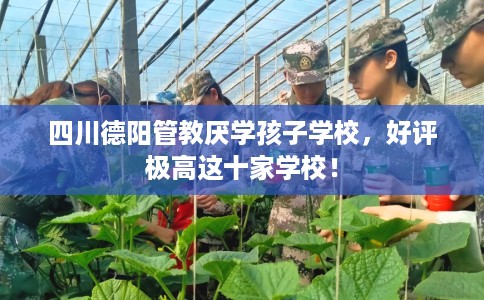 四川德阳管教厌学孩子学校，好评极高这十家学校！