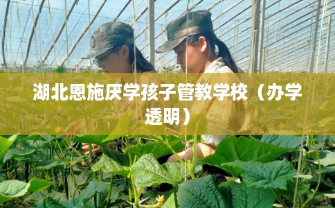 湖北恩施厌学孩子管教学校（办学透明）