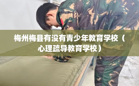 梅州梅县有没有青少年教育学校（心理疏导教育学校）