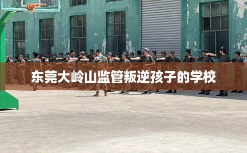 东莞大岭山监管叛逆孩子的学校