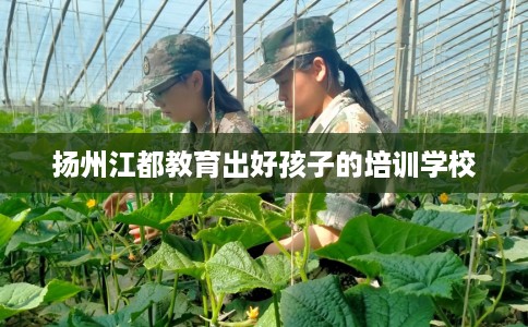 扬州江都教育出好孩子的培训学校