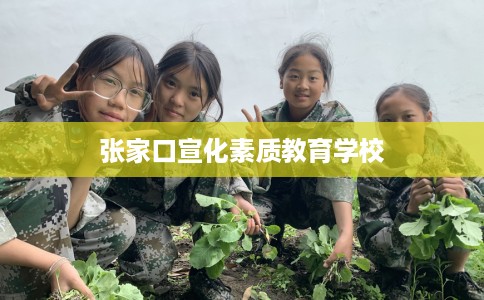 张家口宣化素质教育学校