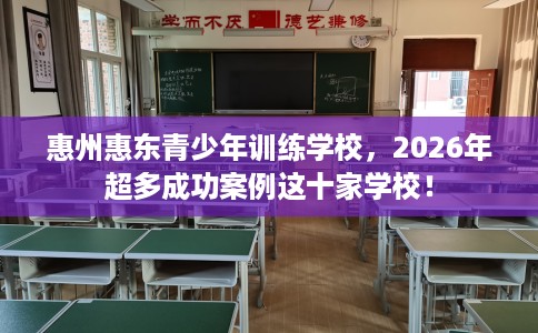惠州惠东青少年训练学校，2026年超多成功案例这十家学校！