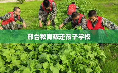 邢台教育叛逆孩子学校