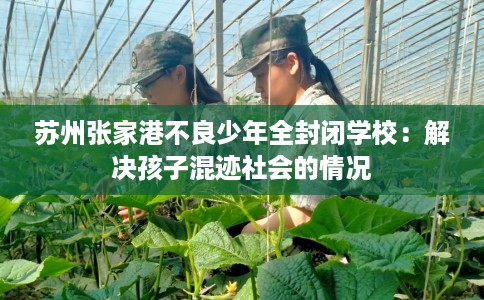 苏州张家港不良少年全封闭学校：解决孩子混迹社会的情况