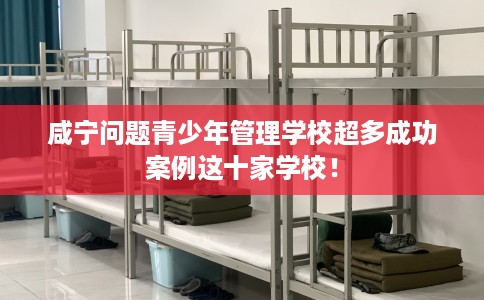 咸宁问题青少年管理学校超多成功案例这十家学校！