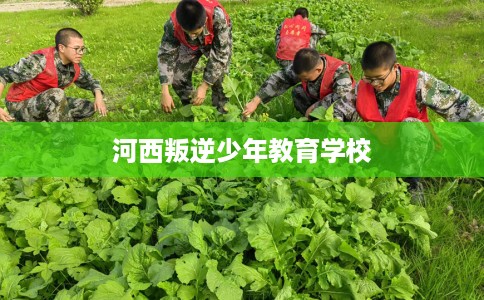 河西叛逆少年教育学校