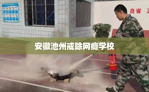 安徽池州戒除网瘾学校
