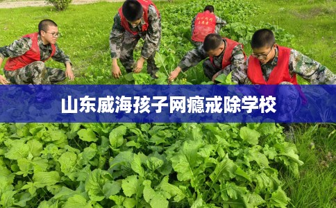 山东威海孩子网瘾戒除学校