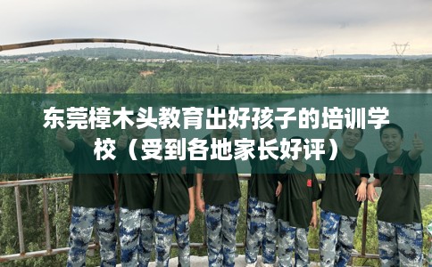 东莞樟木头教育出好孩子的培训学校（受到各地家长好评）