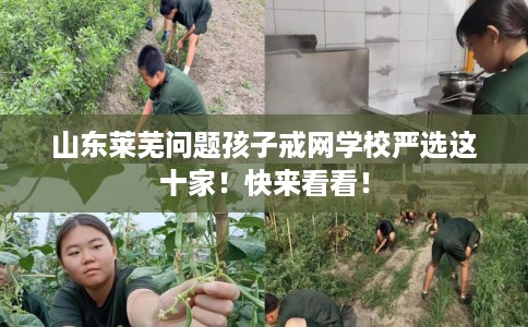 山东莱芜问题孩子戒网学校严选这十家！快来看看！