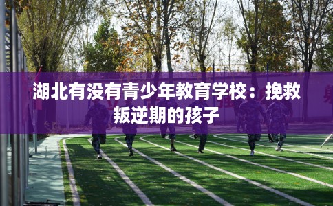 湖北有没有青少年教育学校：挽救叛逆期的孩子