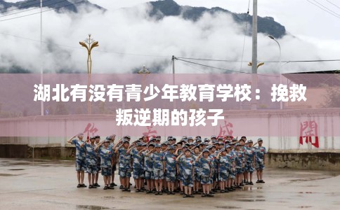湖北有没有青少年教育学校：挽救叛逆期的孩子