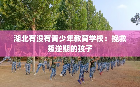 湖北有没有青少年教育学校：挽救叛逆期的孩子
