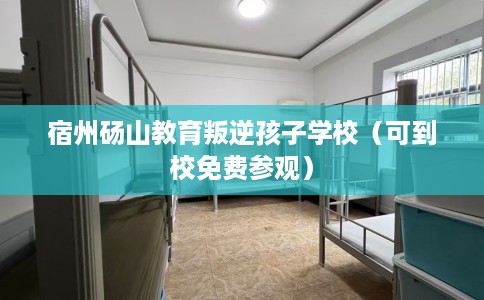 宿州砀山教育叛逆孩子学校（可到校免费参观）