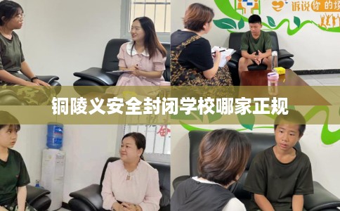 铜陵义安全封闭学校哪家正规