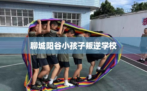聊城阳谷小孩子叛逆学校