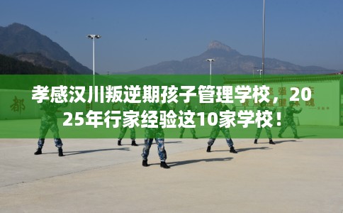 孝感汉川叛逆期孩子管理学校，2025年行家经验这10家学校！