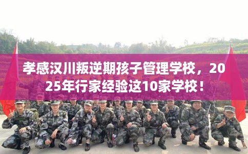 孝感汉川叛逆期孩子管理学校，2025年行家经验这10家学校！