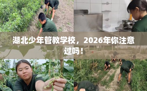 湖北少年管教学校，2026年你注意过吗！