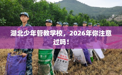湖北少年管教学校，2026年你注意过吗！