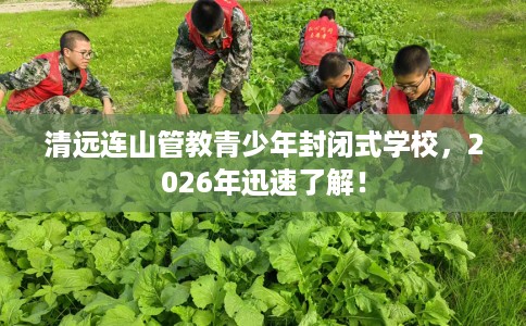 清远连山管教青少年封闭式学校，2026年迅速了解！