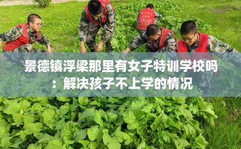 景德镇浮梁那里有女子特训学校吗：解决孩子不上学的情况