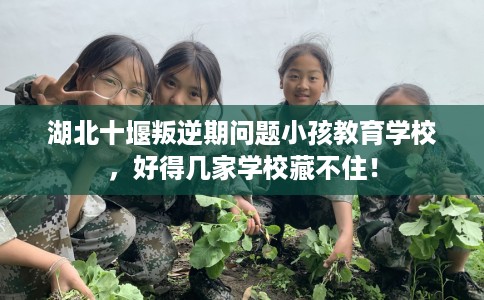 湖北十堰叛逆期问题小孩教育学校，好得几家学校藏不住！