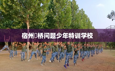 宿州埇桥问题少年特训学校