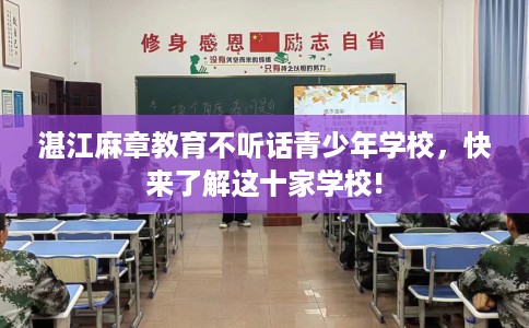 湛江麻章教育不听话青少年学校，快来了解这十家学校!