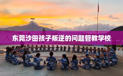 东莞沙田孩子叛逆的问题管教学校