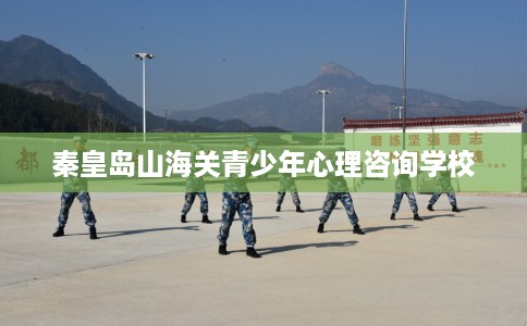 秦皇岛山海关青少年心理咨询学校