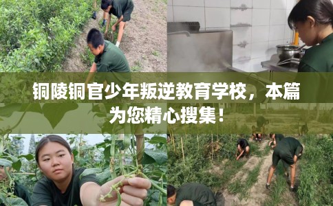 铜陵铜官少年叛逆教育学校，本篇为您精心搜集！