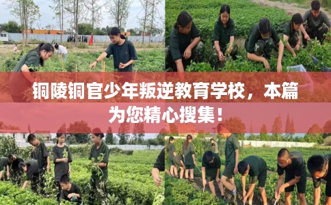 铜陵铜官少年叛逆教育学校，本篇为您精心搜集！