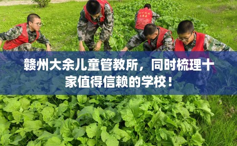 赣州大余儿童管教所，同时梳理十家值得信赖的学校！