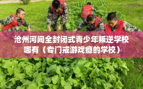 沧州河间全封闭式青少年叛逆学校哪有（专门戒游戏瘾的学校）
