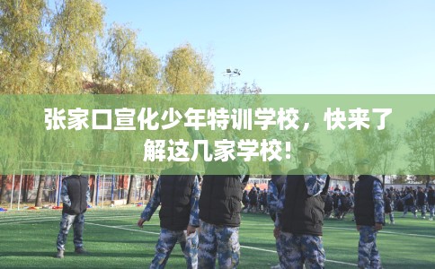 张家口宣化少年特训学校，快来了解这几家学校!