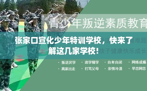张家口宣化少年特训学校，快来了解这几家学校!