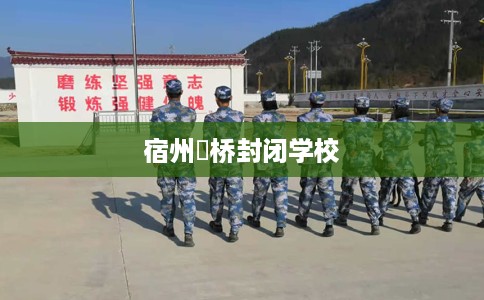 宿州埇桥封闭学校