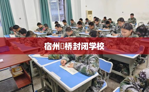 宿州埇桥封闭学校