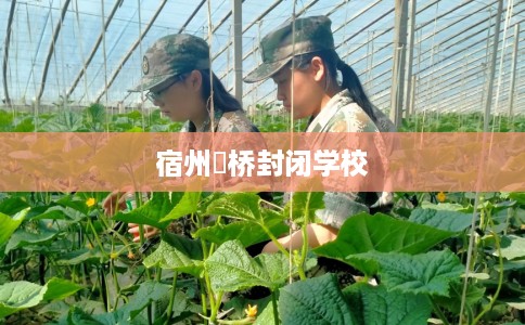 宿州埇桥封闭学校