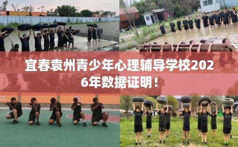 宜春袁州青少年心理辅导学校2026年数据证明！